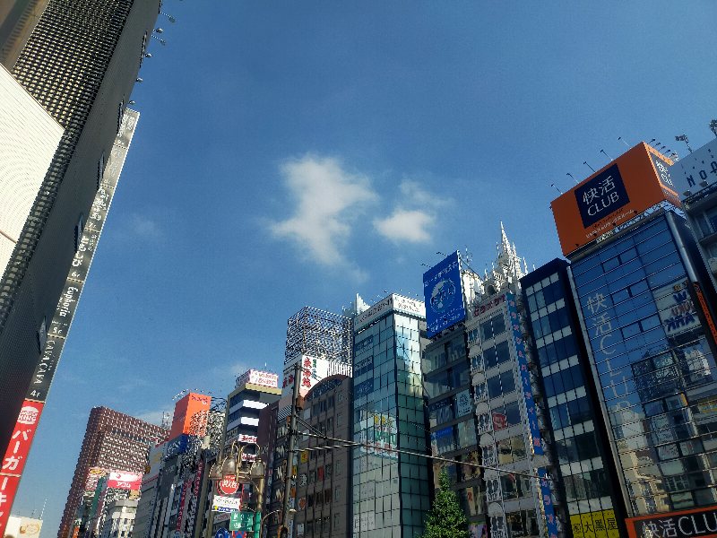 東京にいながらにして