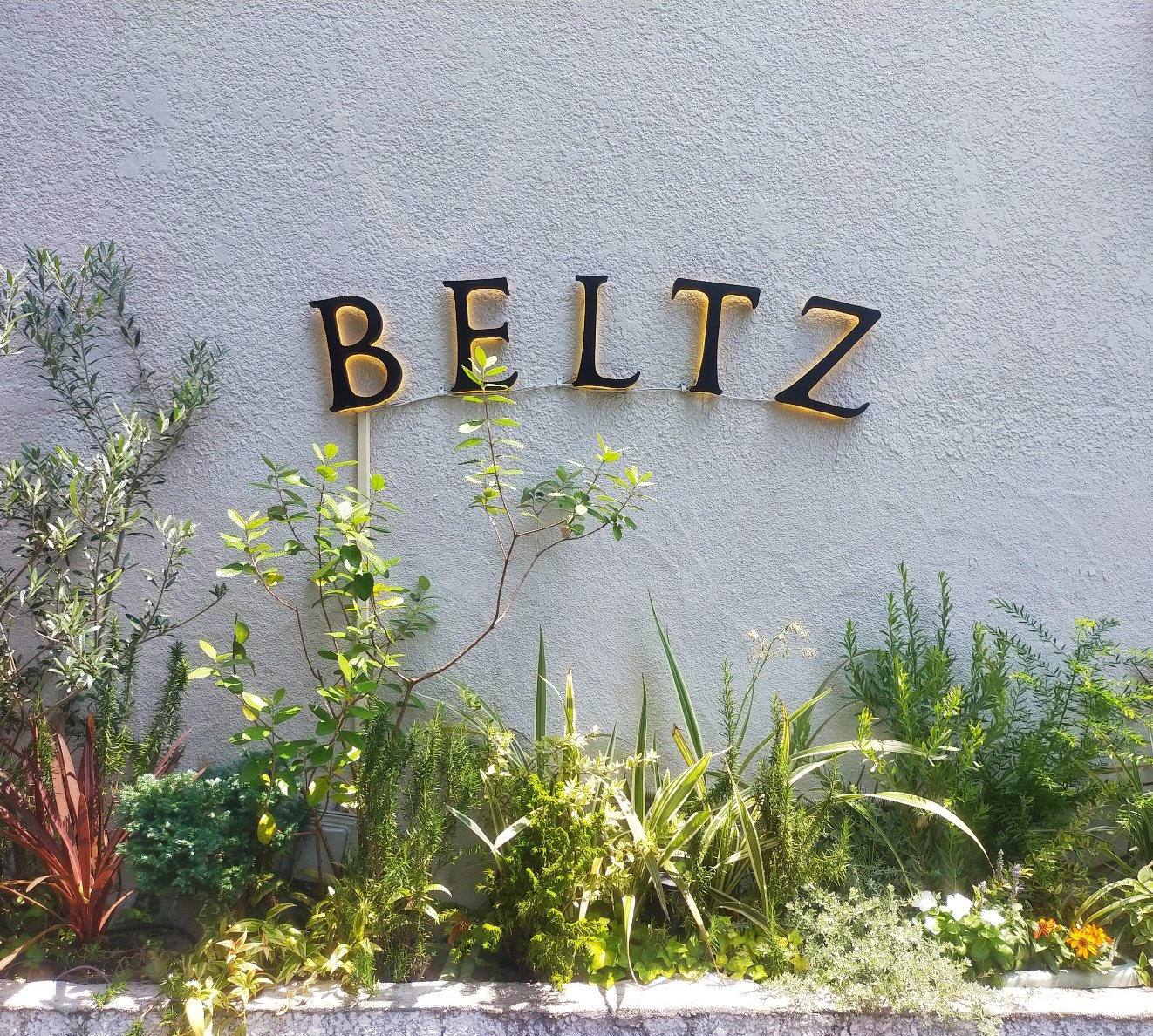 BELTZ