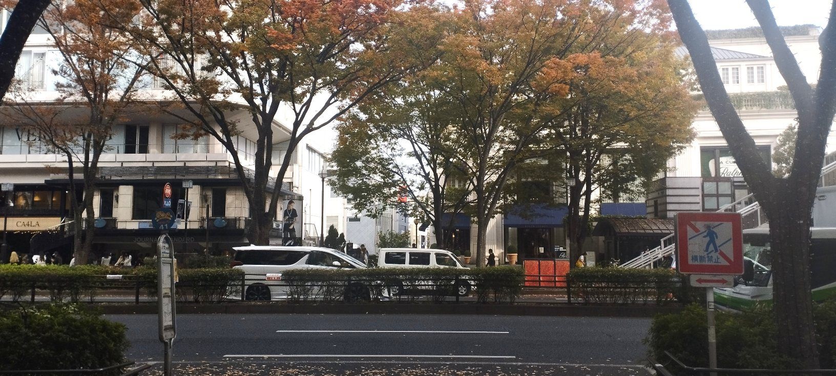 カキを食す